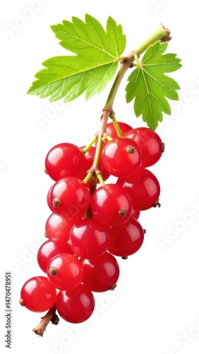 Vibrant bunch of fresh red currants with green leaves isolated on white background