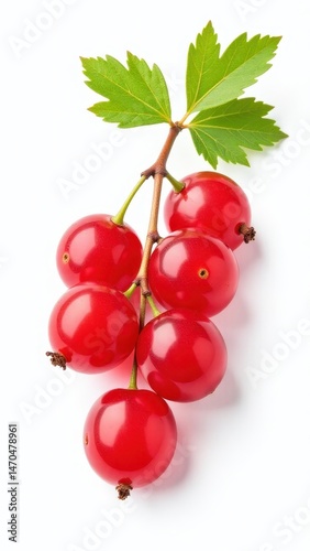 Vibrant bunch of fresh red currants with green leaves isolated on white background