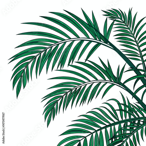 simple colourful of Palm leaves 
