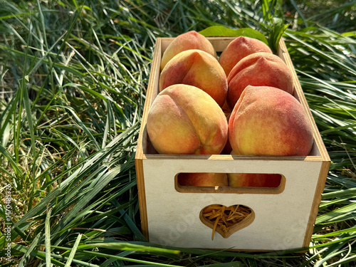 Fototapeta Naklejka Na Ścianę i Meble -  Peach fruits fresh ripe juicy peaches.