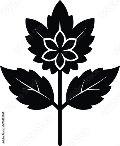calamint flower icon vector illustration