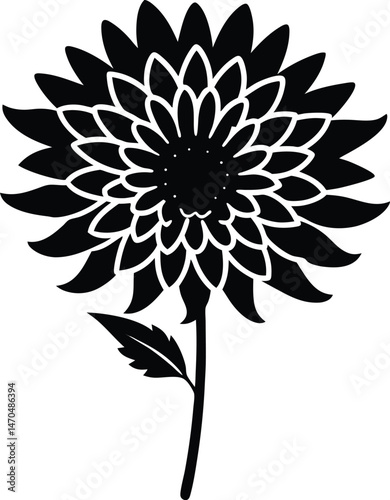 Chrysanthemum Indicum Flower Icon Vector Illustration