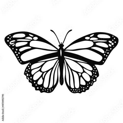 A clean vector butterfly silhouettes on a white background in black with simple and detailed wing patterns