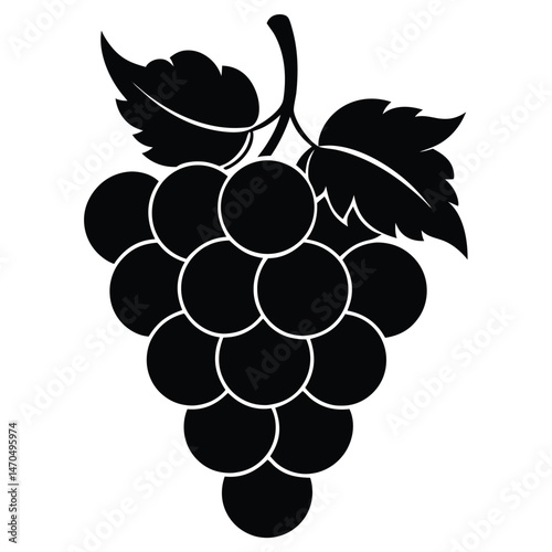 A vector illustration shows a ripe bunch of purple grapes, a sweet fruit with a green leaf, on a vine