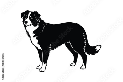 Silhouette art illustration of an Australian Shepherd from front view.eps