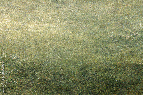 Wallpaper Mural Field of Green: An expansive field of lush, vibrant green, bathed in natural sunlight. This image exudes a sense of peace, perfect for evoking tranquility and the beauty of nature. Torontodigital.ca