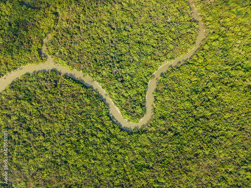 Top-Down Aerial View of Meandering River Through Dense Mangrove Forest in Sundarbans, Khulna, Bangladesh
