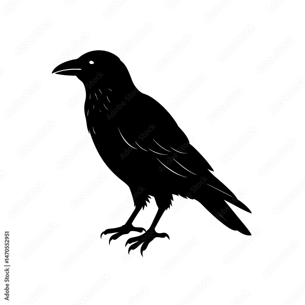 Fototapeta premium raven perched silhouette on white background