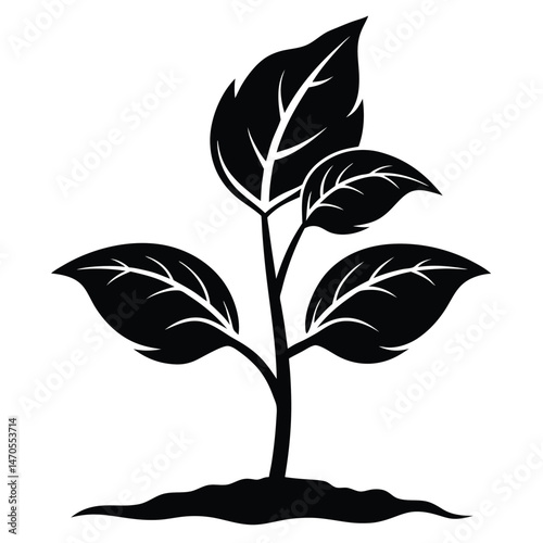 Black seedling rises from soil with detailed leaves in simple, modern style
