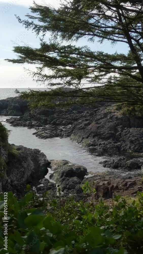 Ocean Inlet and Rocky Coastline on Vancouver Island, British Columbia Ocean Inlet and Rocky Coastline on Vancouver Island, British Columbia
