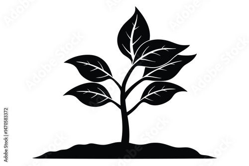 Silhouette of a sapling growing upward, featuring six leaves emerging from the soil below