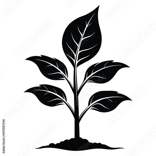 A young plant grows strongly from the dark soil, symbolizing growth and nature