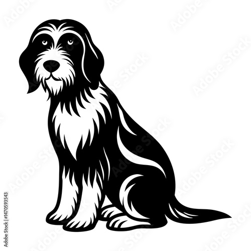 black and white dog
