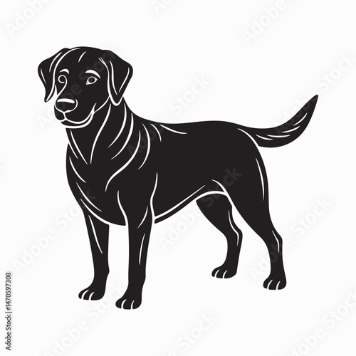 labrador retriever dog Vector Art illustration