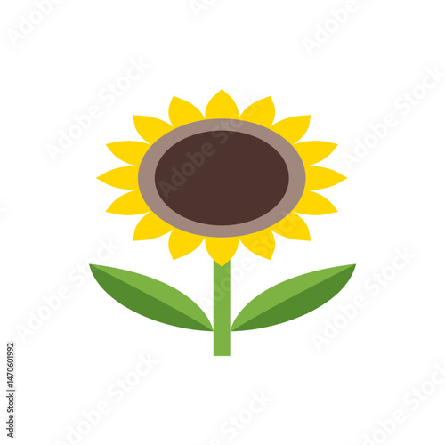 A simple vector illustration of a sunflower with yellow petals and green leaves on a white background
