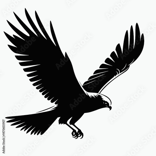  vector silhouette of a harrier bird gliding low, broad wings and tail, minimal style, white background 