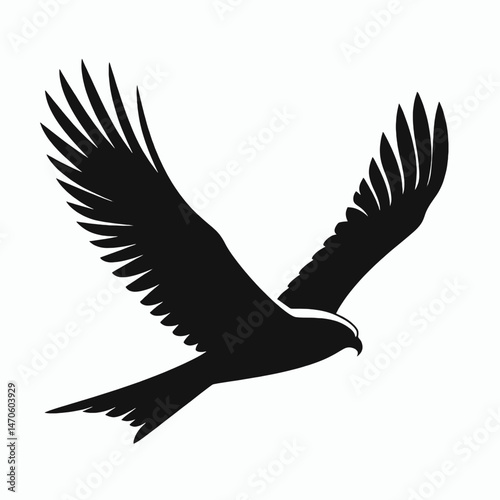  vector silhouette of a harrier bird gliding low, broad wings and tail, minimal style, white background 