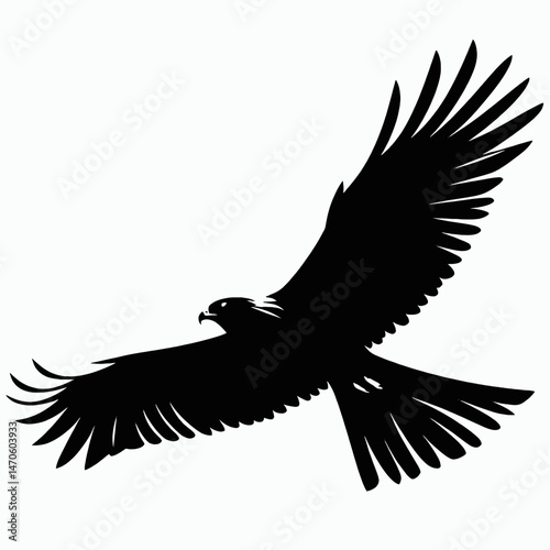  vector silhouette of a harrier bird gliding low, broad wings and tail, minimal style, white background 