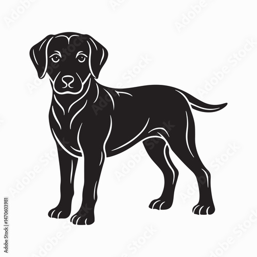 labrador retriever dog Vector Art illustration