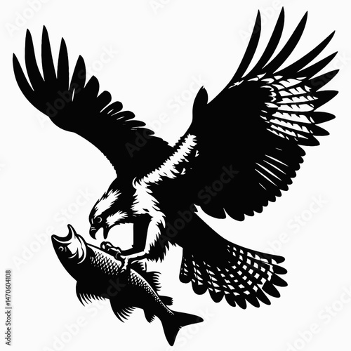 vector silhouette of an osprey with outstretched wings clutching a fish, dynamic form, white background 
