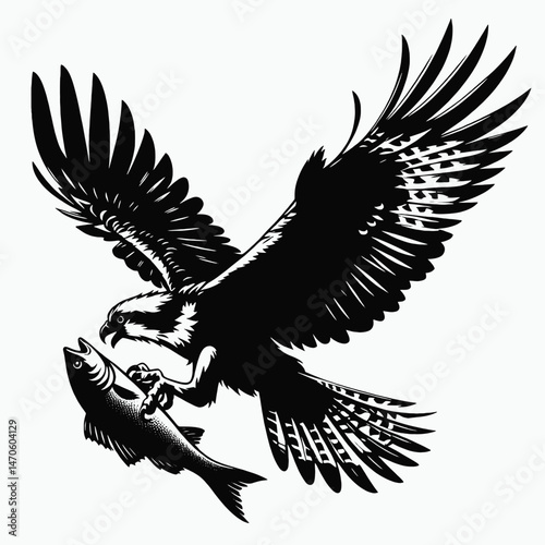 vector silhouette of an osprey with outstretched wings clutching a fish, dynamic form, white background 