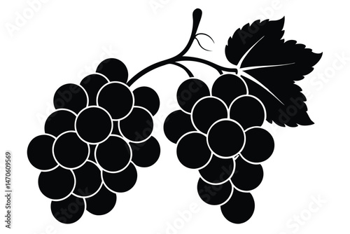 Two black grape bunches dangle with leaf and stem in this transparent background picture