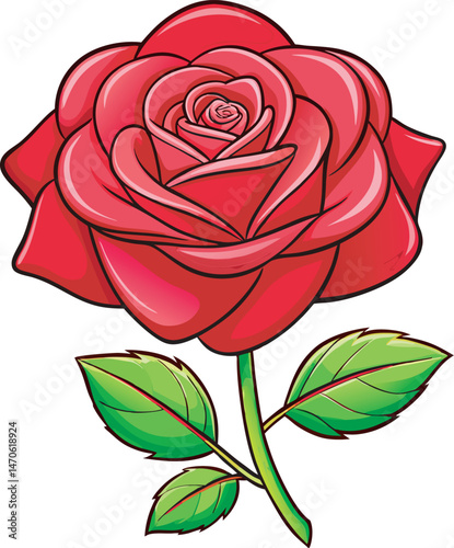 Red rose isolated on white
