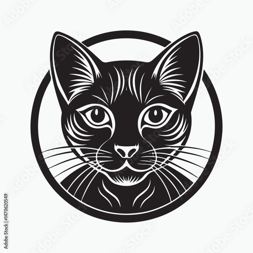 domestic shorthair cat Vector Art illustration