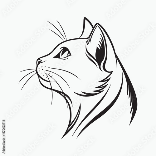domestic shorthair cat Vector Art illustration