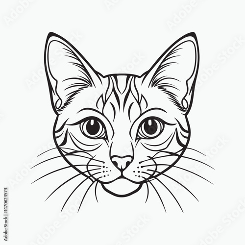 domestic shorthair cat Vector Art illustration