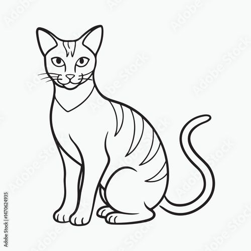 domestic shorthair cat Vector Art illustration