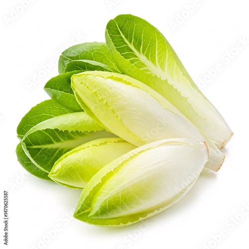 Endive chicory leaves top view isolated on white background.