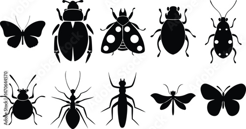 Black silhouette collection of insects including butterflies, beetles, ladybugs, and ants – vector illustration