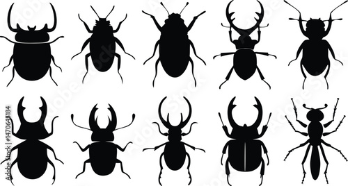 Set of black beetle silhouettes including stag beetles, ants, and roaches – vector illustration