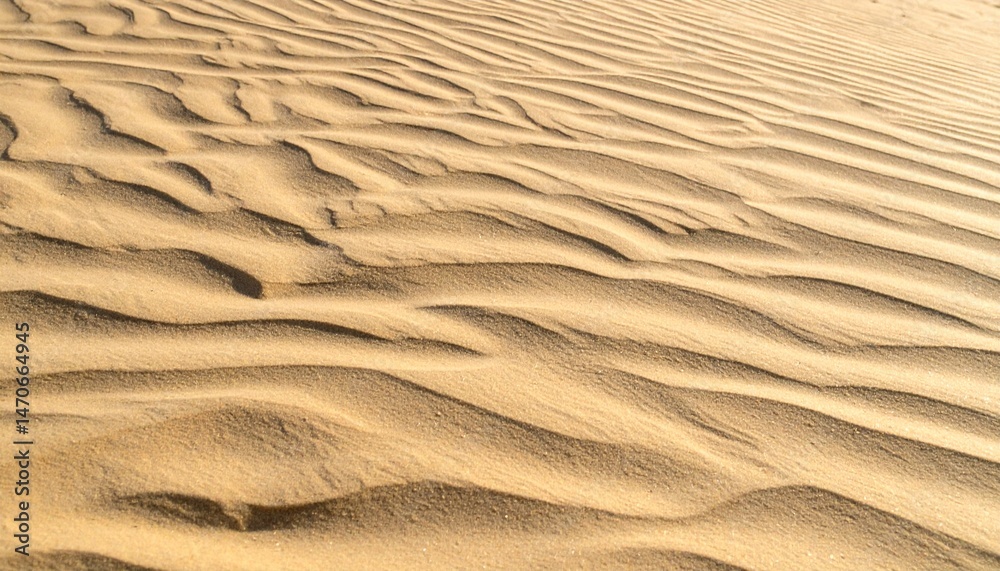 Fototapeta premium 砂丘の風紋を捉えたサンドテクスチャ