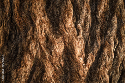 Wallpaper Mural Textured Animal Fur: A close-up shot of a detailed, textured animal fur, showcasing the intricate patterns, soft touch and natural beauty of the animal's coat. Torontodigital.ca