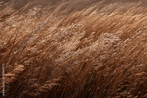 Wallpaper Mural Golden Wheat Field in Wind: Capture the essence of autumn, the golden wheat field dances gracefully in the wind, soft golden hues and gentle sway create a scene of tranquility and beauty. Torontodigital.ca