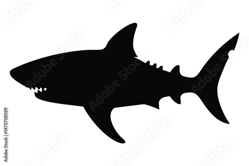
Shark silhouette vector illustration predatory fish ocean animal marine life