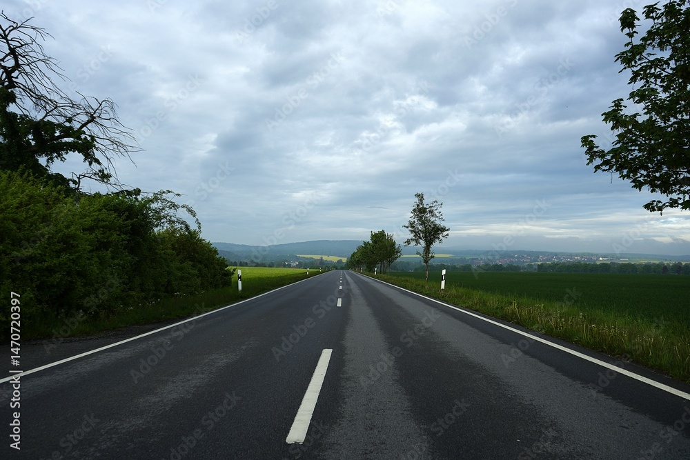 Fototapeta premium A road disappearing into the distance through a dense forest. A peaceful and captivating nature scene that evokes a sense of journey, exploration, and natural beauty.