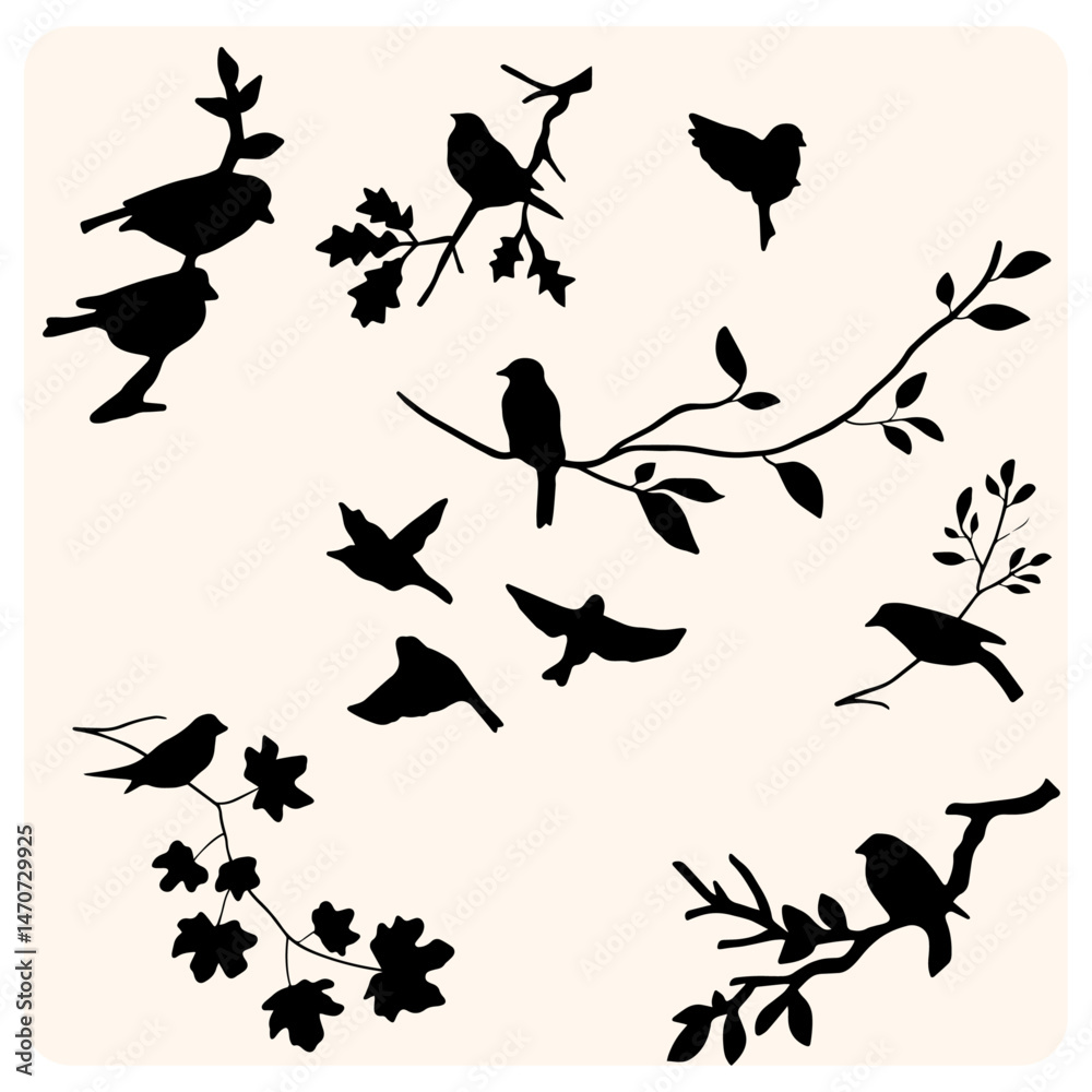 Fototapeta premium Bird Silhouette Collection on Branches