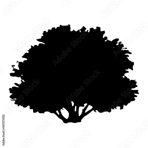 bush bare bush silhouette