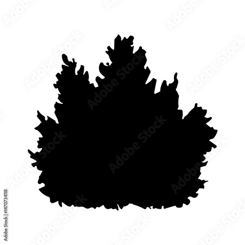 bush bare bush silhouette