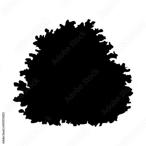 bush bare bush silhouette