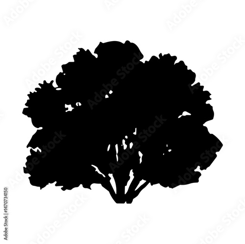 bush bare bush silhouette