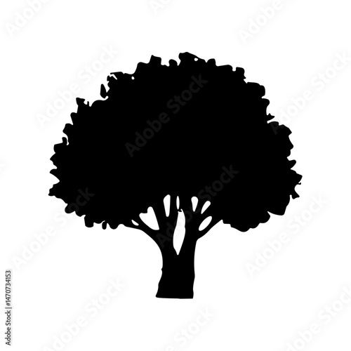 bush bare bush silhouette
