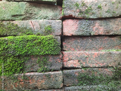 Moss-covered red brick walls showing signs of age and moisture, with vibrant green patches growing in the crevices.
