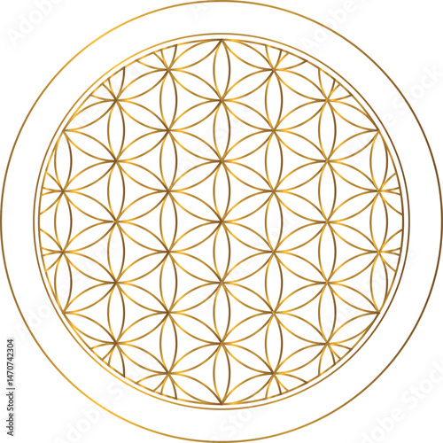 Flower of life Golden outline. Scared Geometry Vector Design Element gold color. Element religion, philosophy, and spirituality symbol. Circles forming symmetrical flower-like patterns. Illustration. 