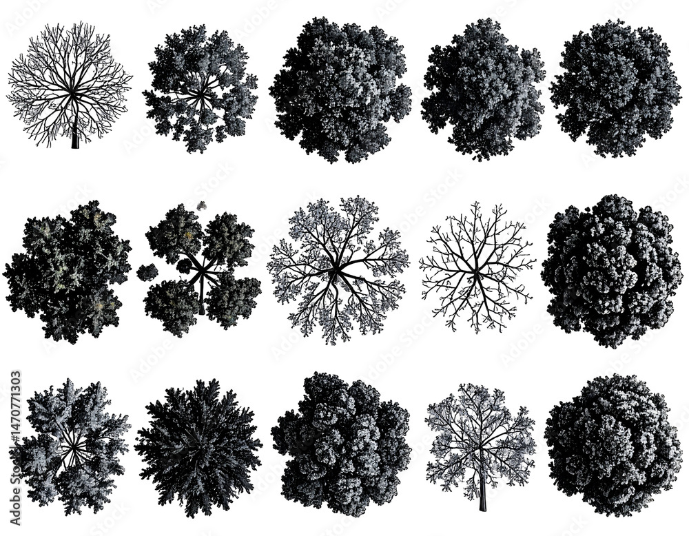 Fototapeta premium Aerial View of Tree Tops in Monochrome Tones on a Black Background