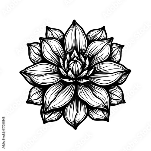 Intricate floral vector illustration exhibiting rhythmic petal arrangement artwork
