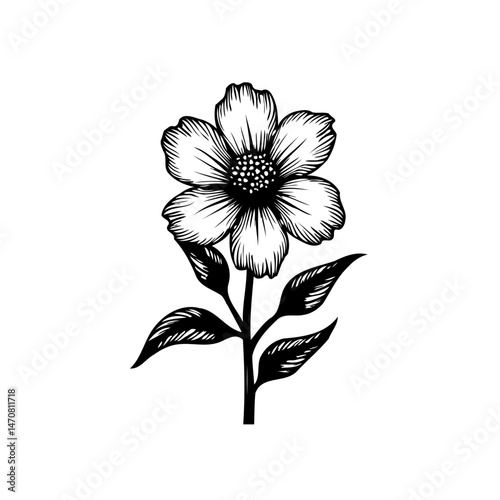 Elegant monochrome floral botanical illustration with detailed shading and texture